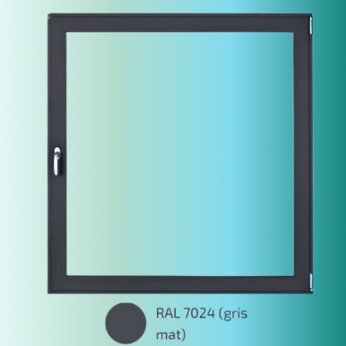 Couleur Fenêtres Alu 1 (14)