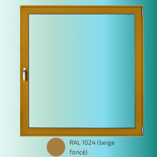 Couleur Fenêtres Alu 1 (9)